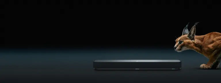 โมเมนตัม สปอร์ต