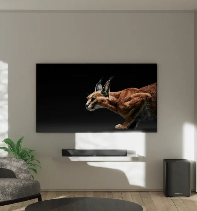 โมเมนตัม สปอร์ต Img 02