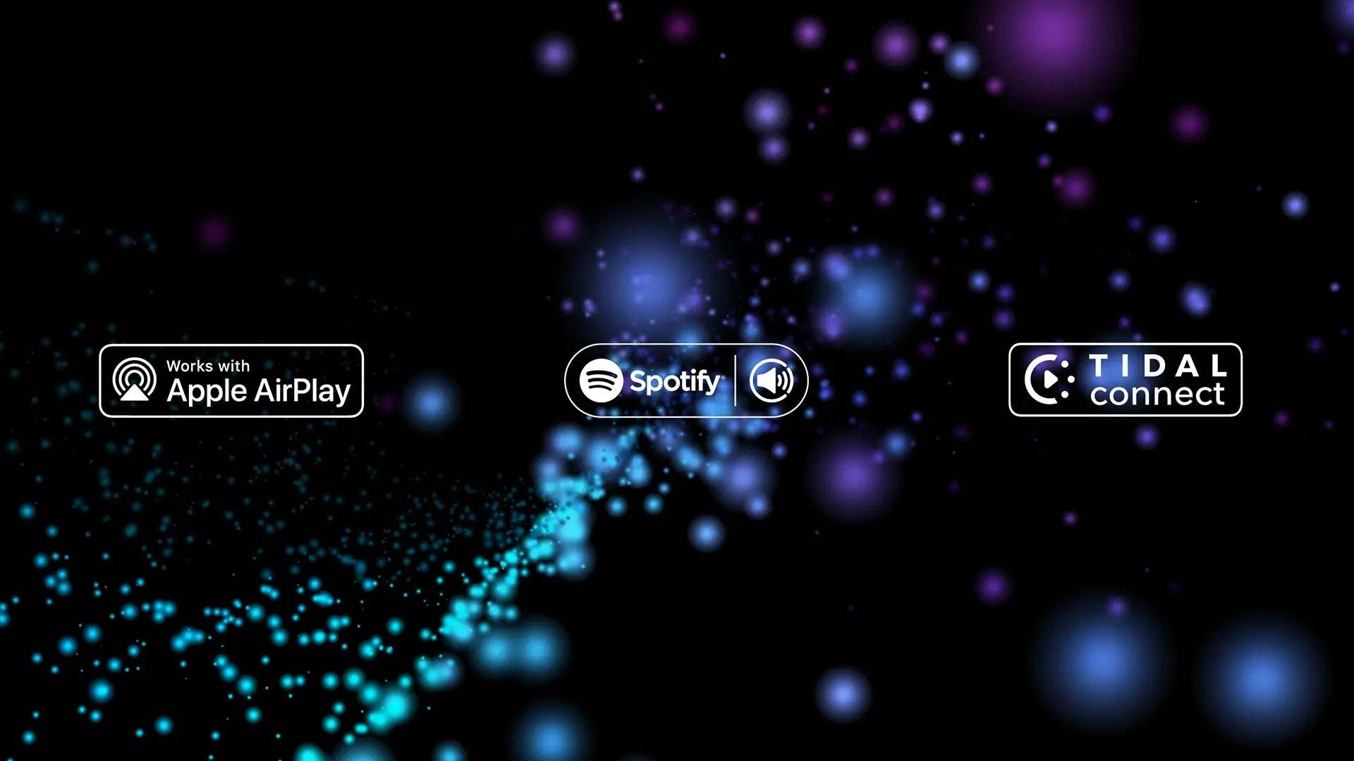 กราฟเซ็ต PDP