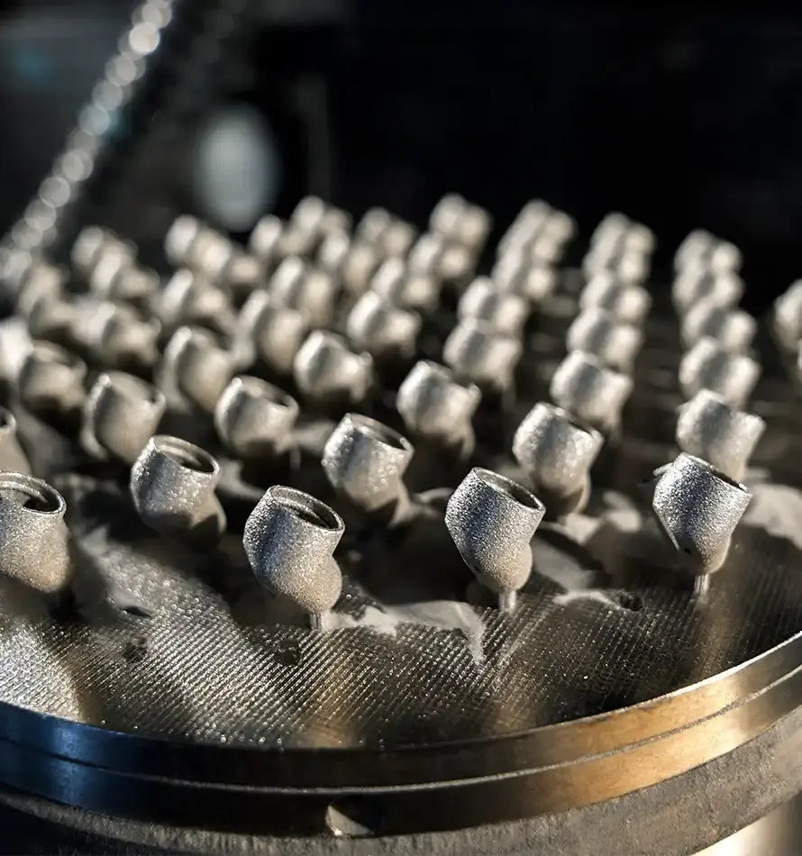 โมเมนตัม สปอร์ต Img 02