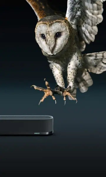 โมเมนตัม สปอร์ต